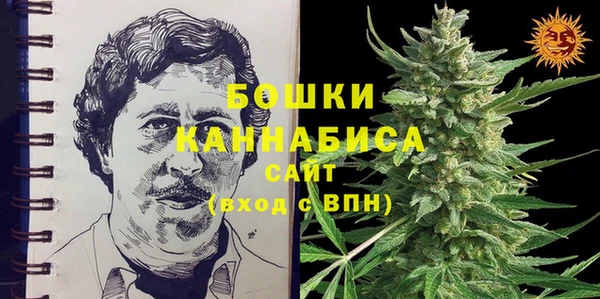 сатива Нея