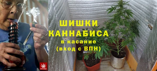 сатива Нея
